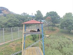 -西霞口神雕山野生动物世界