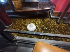 -颐和•海鲜砂锅粥•啫啫煲(奥林匹克广场店)
