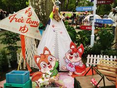 -上海共青森林公园