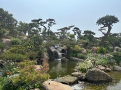 -罗红摄影艺术馆