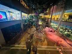 -麒麟中餐厅·经典粤菜·地道菜式老字号(广州长隆酒店)