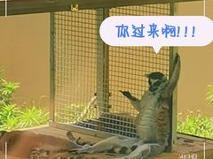 -合肥野生动物园