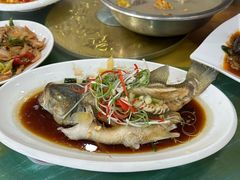 -谭家菜农夫山庄