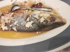 酒酿蒸鲥鱼-新南华大酒店(广中店)