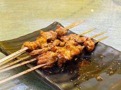 -撒拉花儿·新疆菜·清真(太阳宫店)