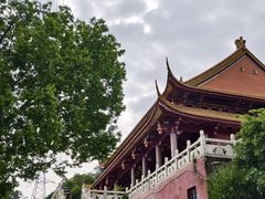 -仙岳公园