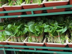 -天和晟烤鸭店(玉泉西街店)