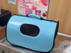 -瑞派长江宠物医院·猫科·外科·24小时夜护(谊城公寓分院)