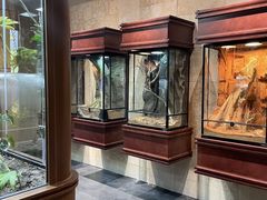 -帕帕拉兹宠物(亚洲旗舰店)