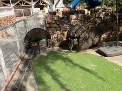 -J Create城市露营咖啡·简餐·宠物(上海动物园店)