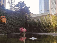 -锦江都城经典达华静安寺酒店·餐厅