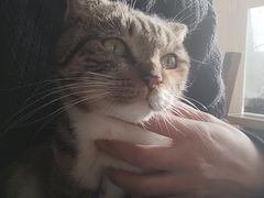 -平行世界·猫咖(首经贸店)
