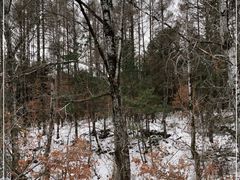 -帽儿山国家森林公园