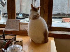 -猫的天空之城概念书店(苏州平江店)