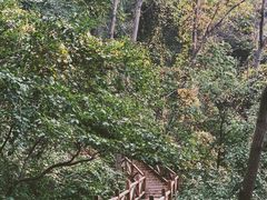 -大岭沟猕猴桃谷风景区