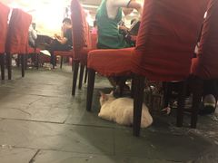 -朱氏胖子烂火锅(洪崖洞店)