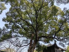 -惠山古镇·寄畅园