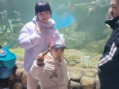 -华夏文旅海洋公园