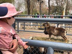 -长白岛森林公园