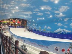 -世界之窗阿尔卑斯冰雪世界