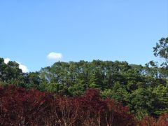 -广州市帽峰山景区