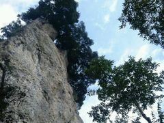 -窦圌山风景区