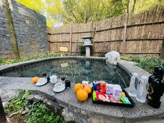 -明月山天沐温泉度假村