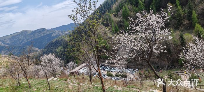 芦芽山旅游度假区图片