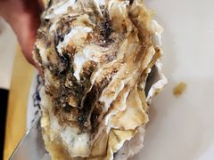 -蚝专家(北滘店)