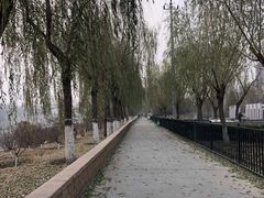 -石榴庄公园