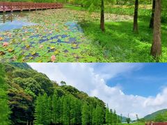 -广州市石门国家森林公园