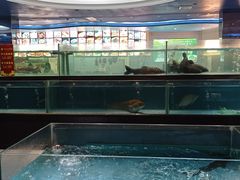 水产区-都市阳光海鲜城(青山湖店)