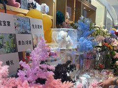 -谷莠子花艺·气球派对·绿植造景·花艺沙龙(金光华广场店)