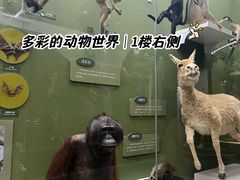 -国家自然博物馆