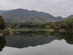 -永定河休闲森林公园