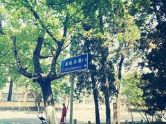 -八大关景区