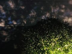 -仙林中心(地铁站)