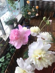 -Yvon yoga 瑜伽·精准体态管理中心