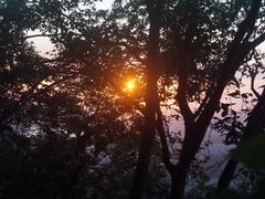 -紫金山山顶公园