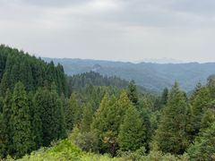 -山王坪喀斯特国家生态公园