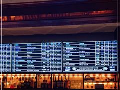 -麦落精酿啤酒餐吧(先农大院店)