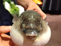 -肆月河豚·淮扬菜·湘菜(华天店)