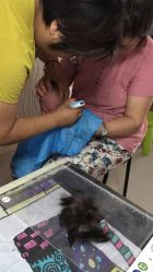 -禧婴婴儿理胎发·胎毛笔定制纪念品(新街口店)