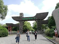 -溱湖国家湿地公园