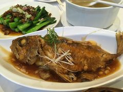 豆卜茄子燜紅斑魚-稻香酒家·33年老字号·港式粤菜(富邦中心店)
