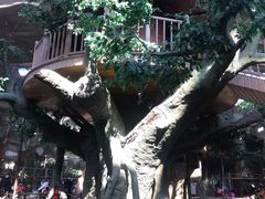 -南宫五洲植物乐园