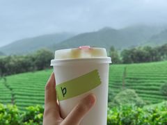 -白茶原·一片叶子