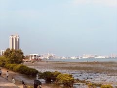 -霞山观海长廊