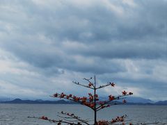 -深圳湾公园(南山区)