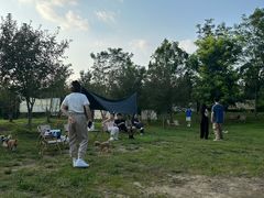 -爪吧宠物乐园 (温榆河示范区店)